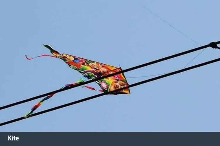 Kite