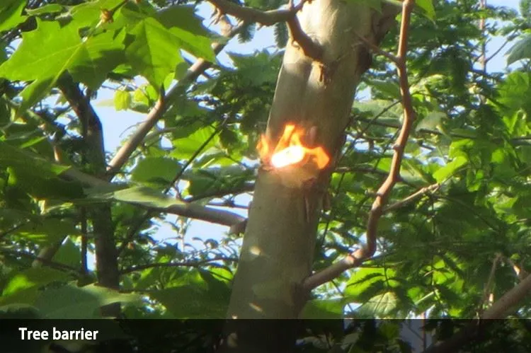Tree barrier